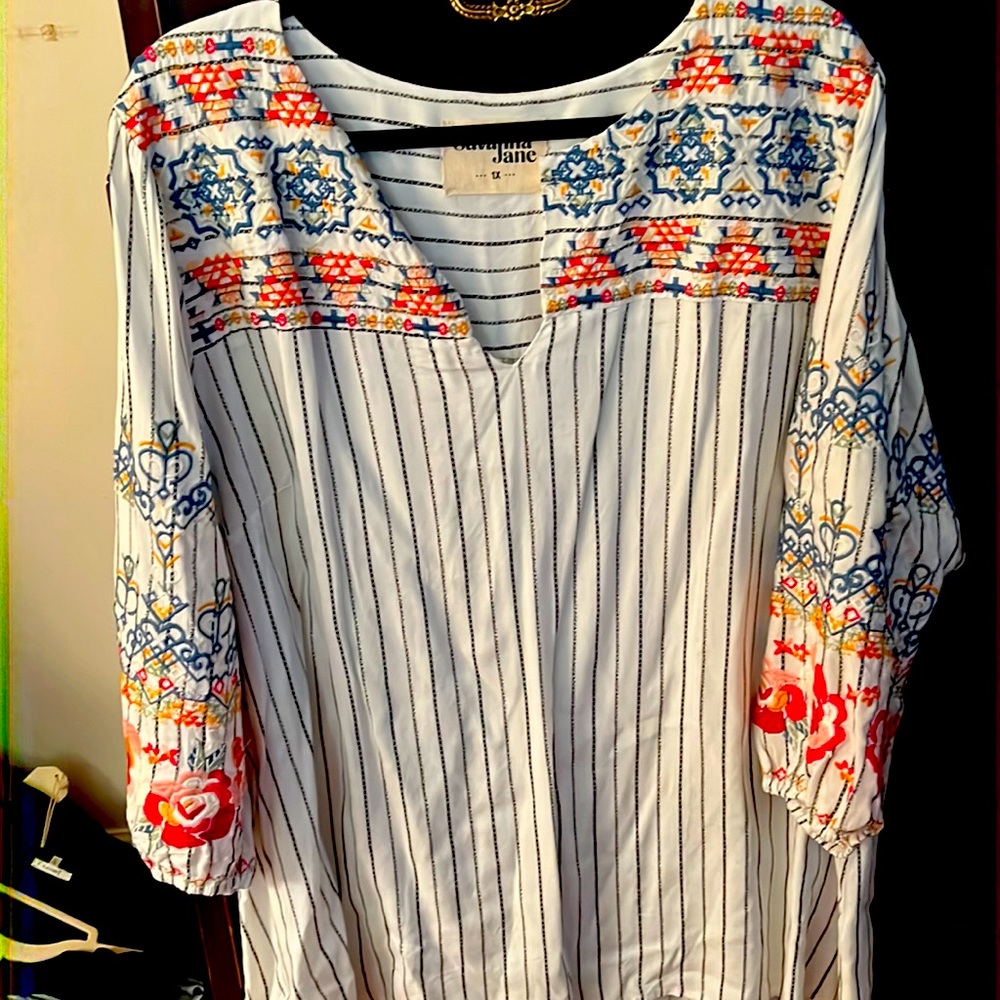 Savanna Jane 1x plus size top
